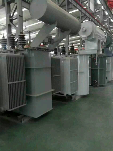 通山S11-6300KVA油浸式变压器